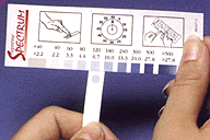 hypoguard spectrum visual blood glucose strips
